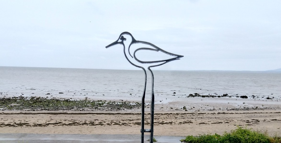 Bespoke signs 'Birds of the Bay'