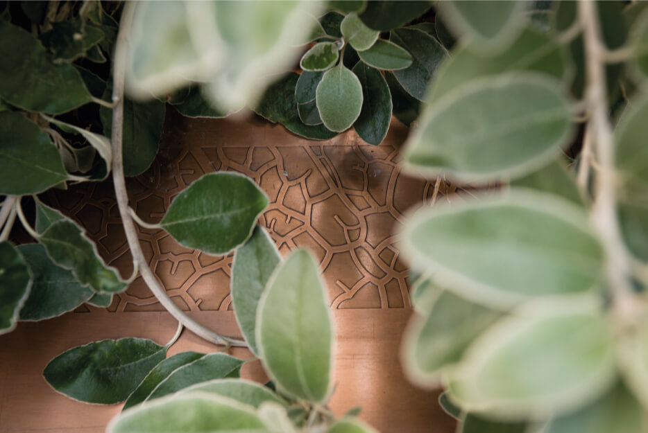 Public Realm Brochure