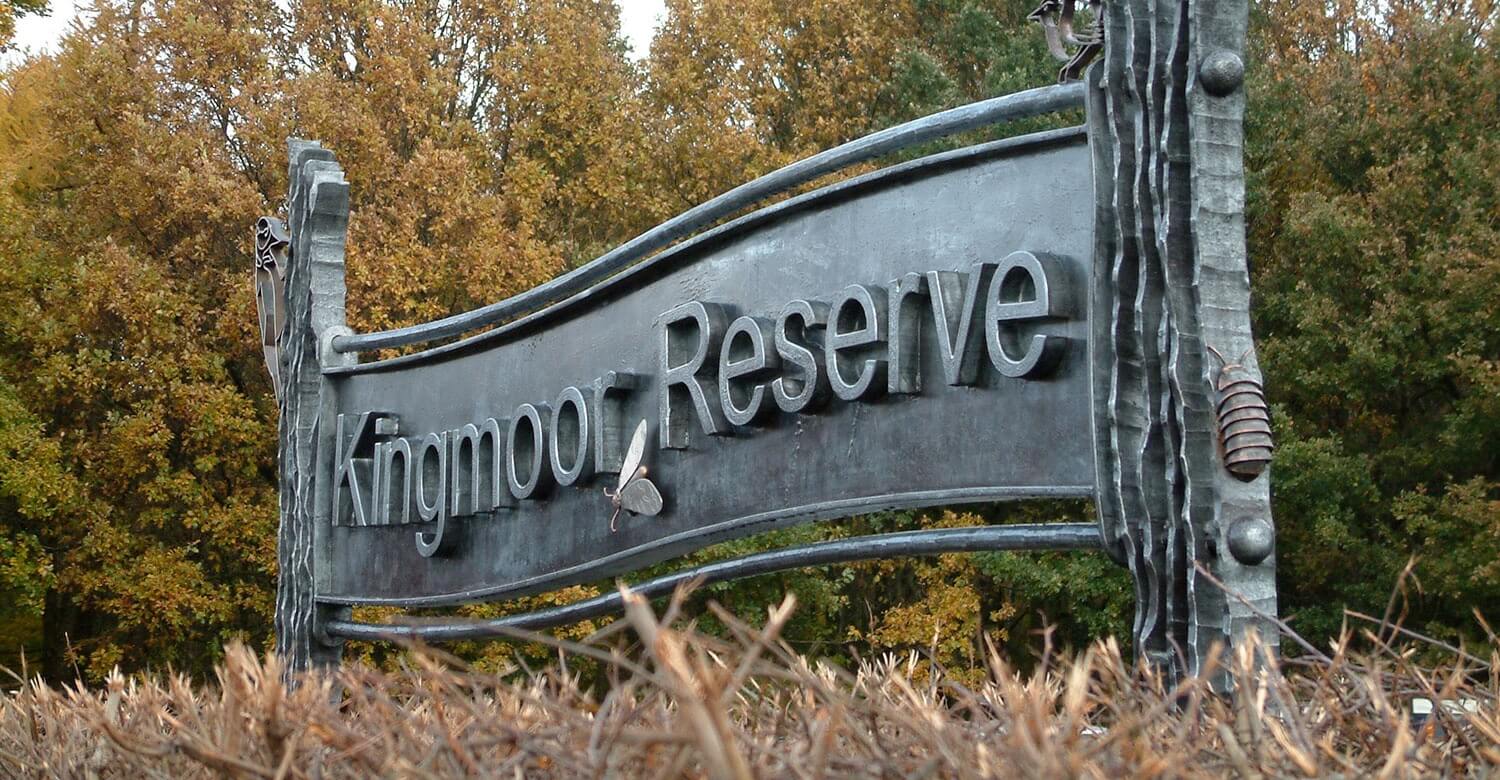 Kingmoor Reserve