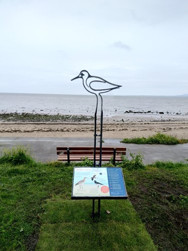 Birds of the Bay sign around Morecambe Bay